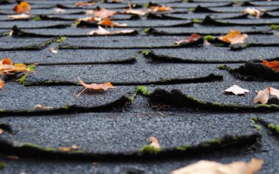 Yearly Roof Maintenance Checklist and Tips