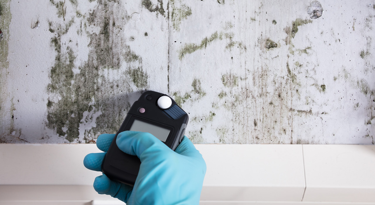 Mold Inspections