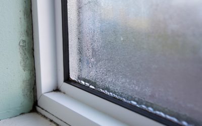 3 Ways to Prevent Mold Growth in Your Home